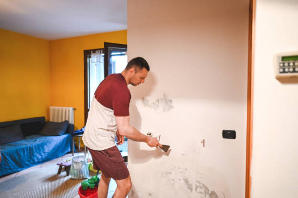 Best Office Mold Removal Services  in Greensboro, AL