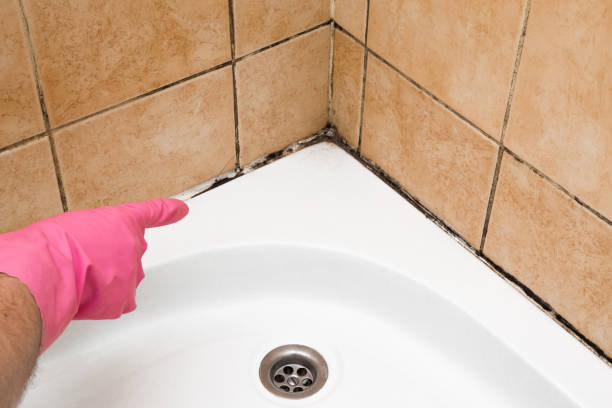 Best Home Mold Removal  in Greensboro, AL
